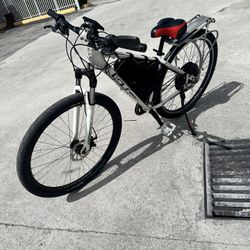 Cheap Ebike 