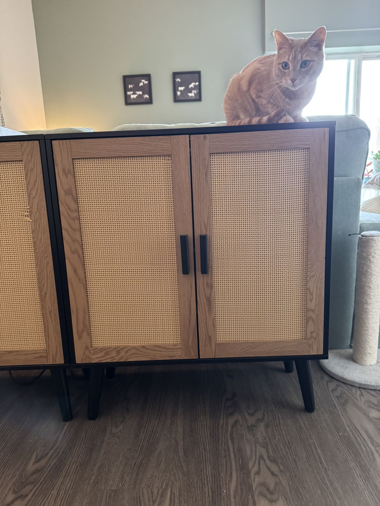 Storage Cabinet