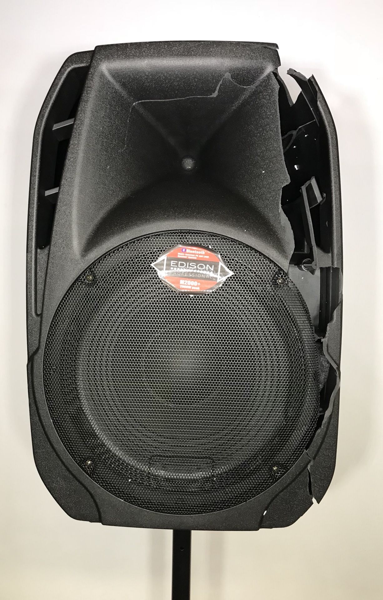 Edison Professional M2000 Plus 15" High Power PA Speaker( Damaged) for