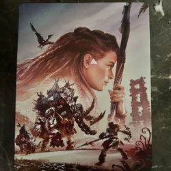 Horizon Forbidden West Steel Case 