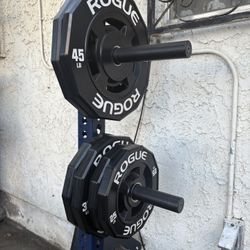 Rogue Weights For Sale Urethane 12 Sided 