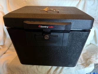 Sentry Record Protection Key Safe