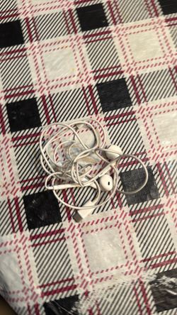 Apple wired headphones