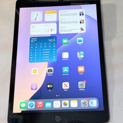 APPLE iPad 8 8th Gen 10.2 inch 128GB iOS18