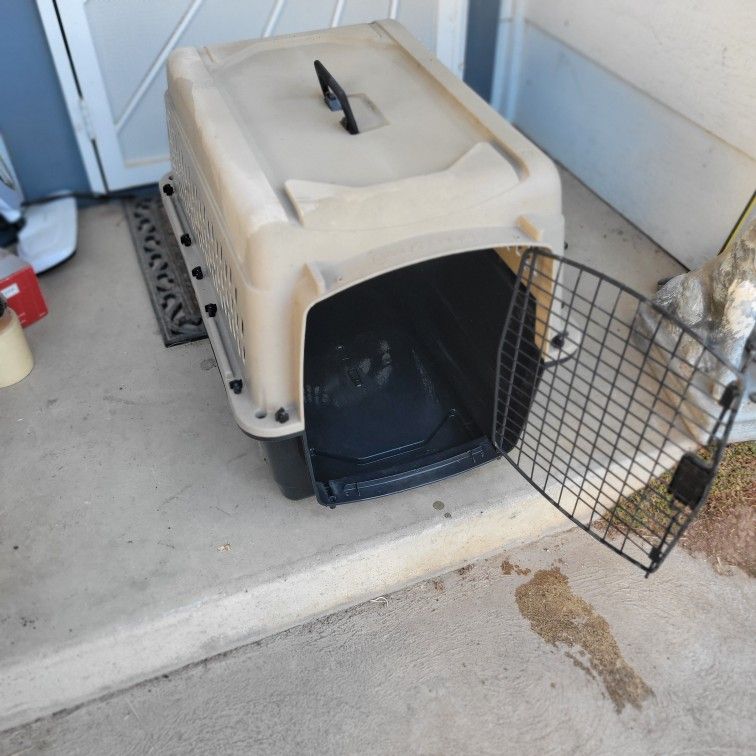 Pet Carrier!