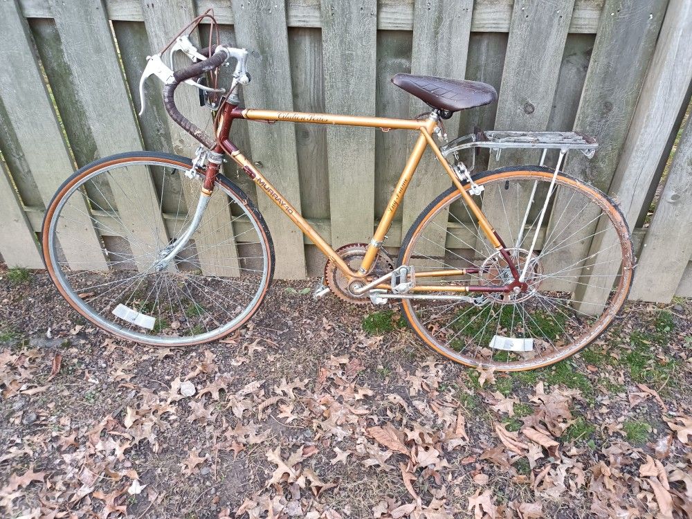 Vintage Murray Citation Series Bike
