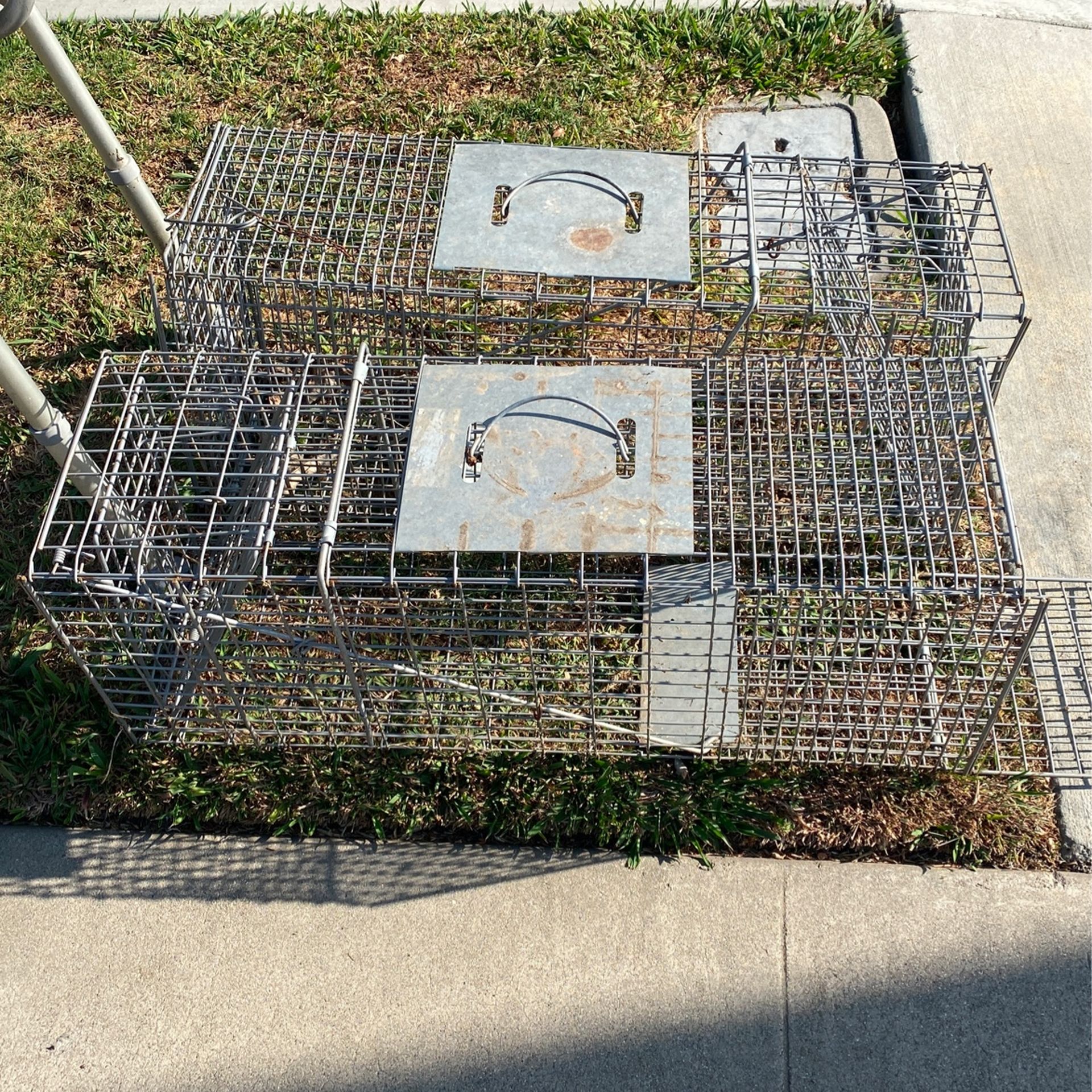 Cat Trap/ Dog Crate