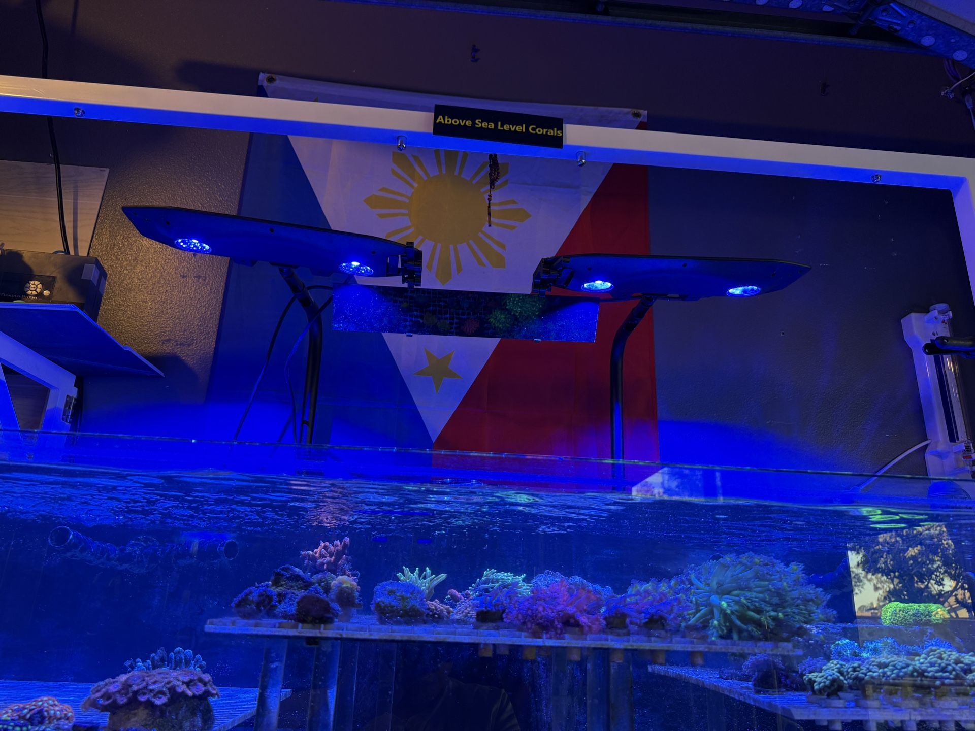 Kessil Ap9x