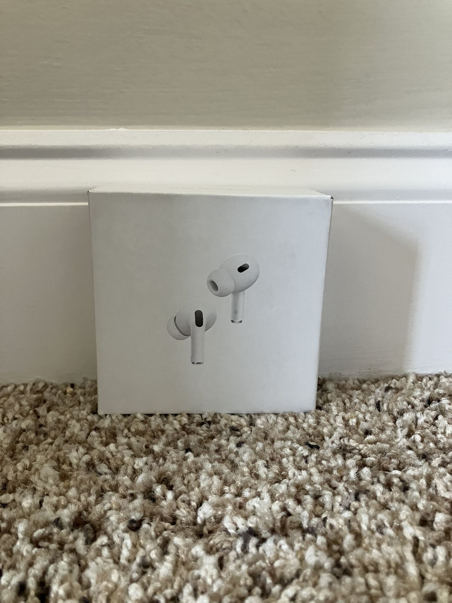 AirPod Pro 2nd Gen USB-C