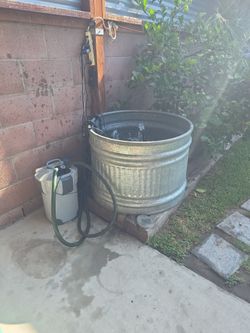 80 gallon for  koi, large gold fish