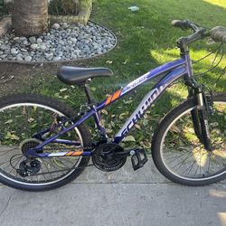 Schwinn bike  24” inches