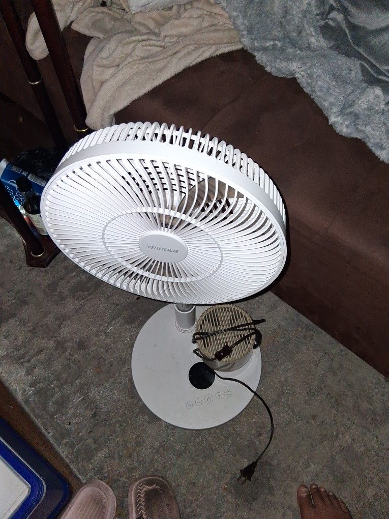 Fans For Sale 