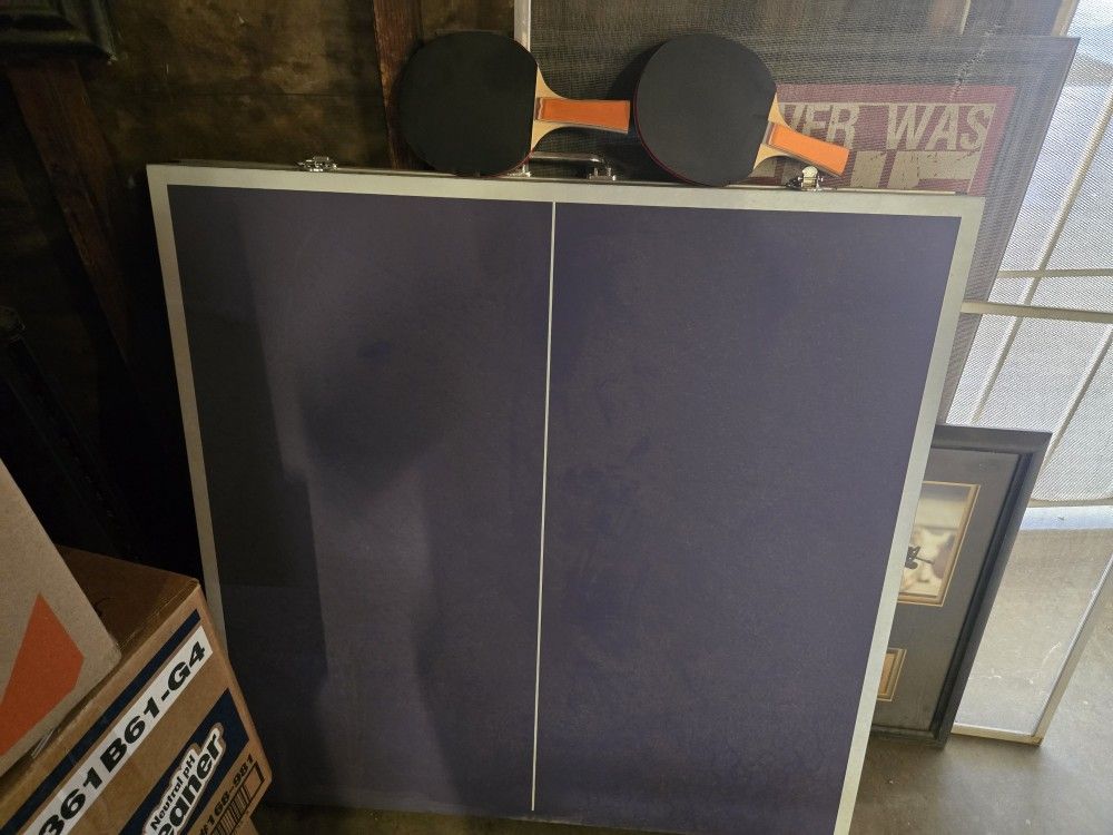 Ping Pong Table 
