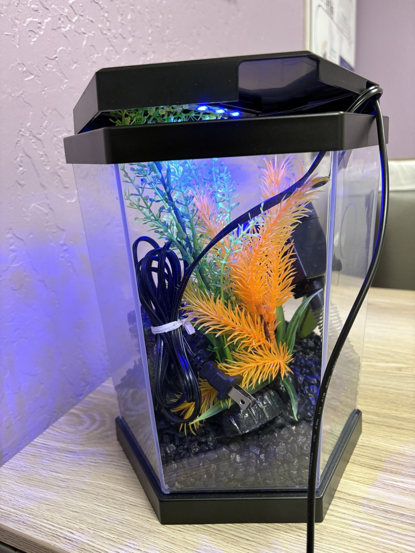 Small Fish Tank