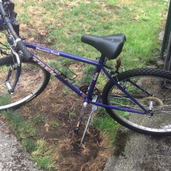 Purple Trek. 800/50 Cash.