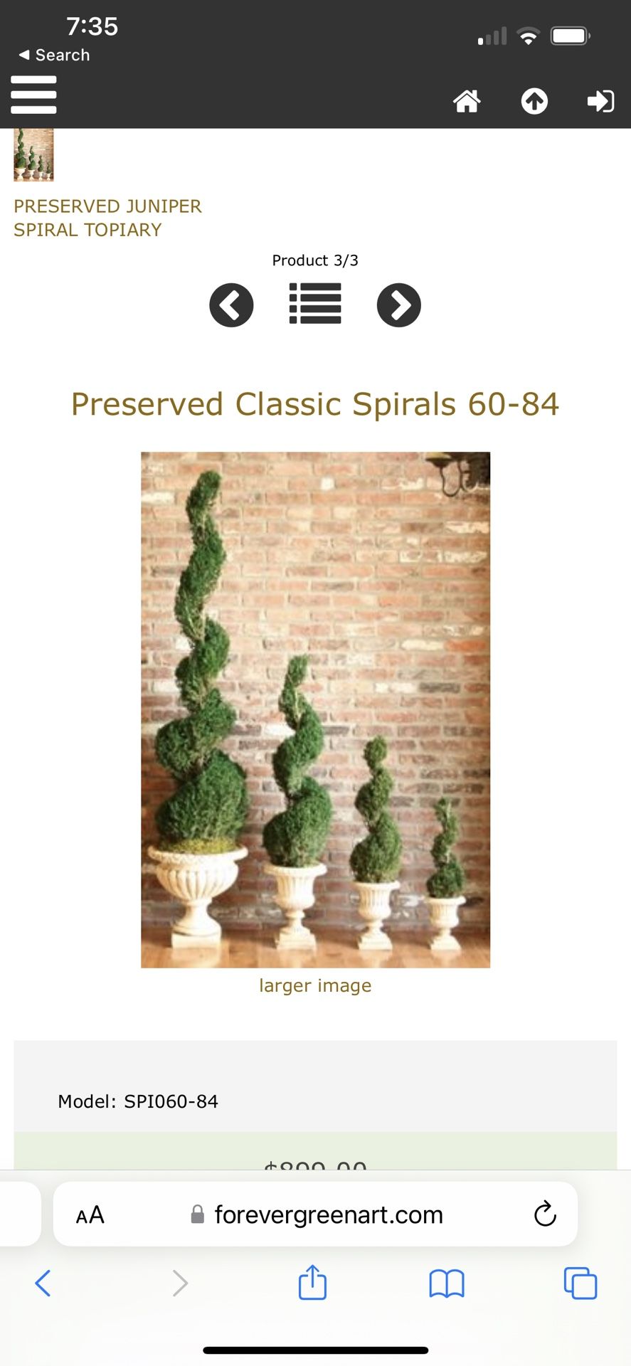 Forever Green Topiary Trees