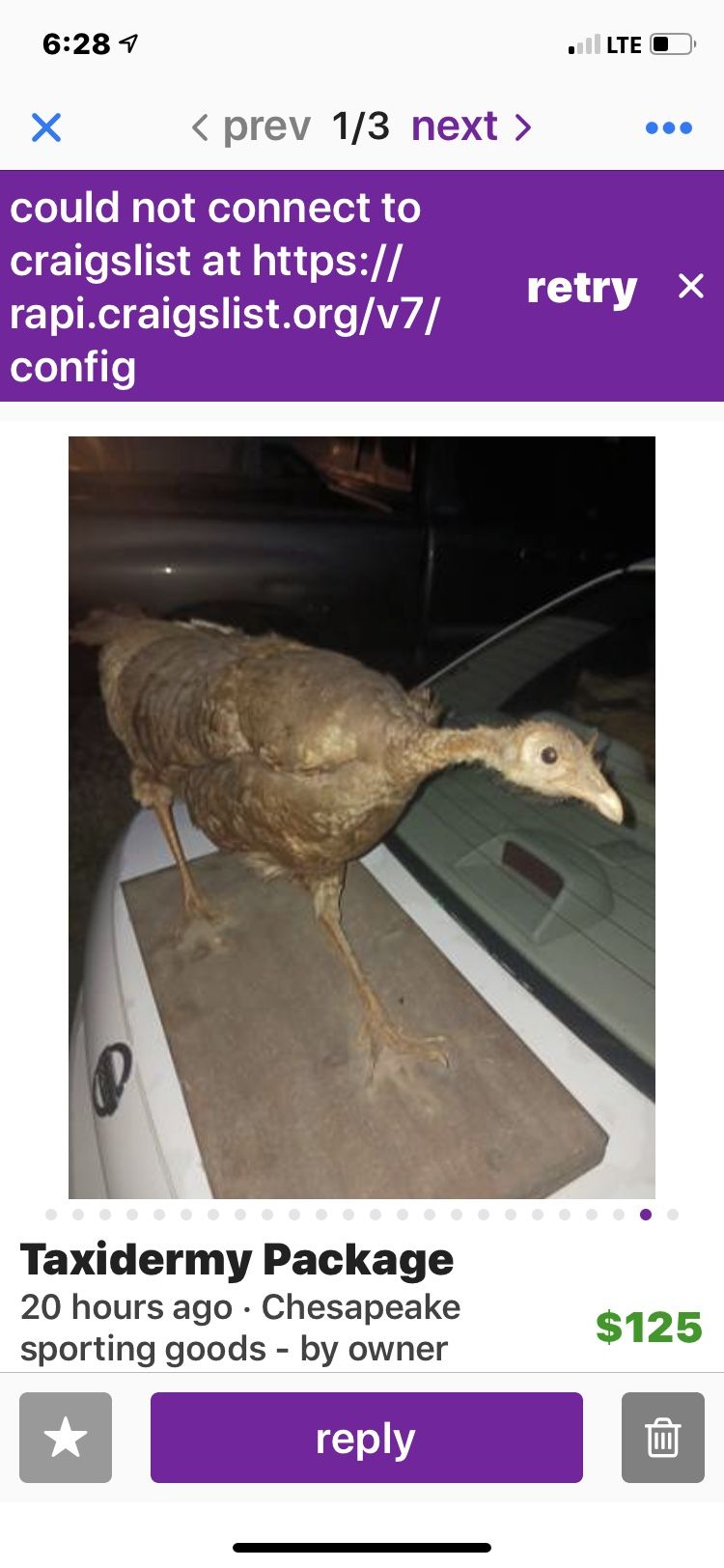 Wild Turkey Taxidermy