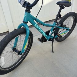 Specialized Riprock Kids Bike 20” / Bicycle 