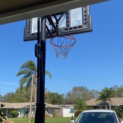 basket ball hoop