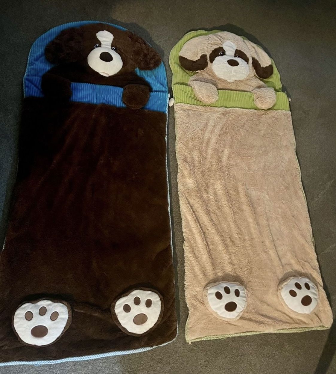 2 Kids Sleeping Bags