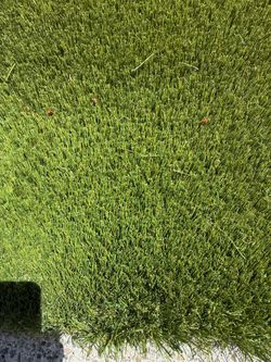 New turf