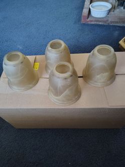 Fan globes 4 for 25