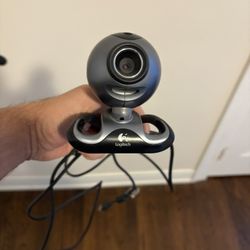 Logitech webcam – works great, USB connection.