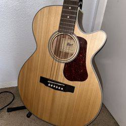 Cort L100F NS Guitar
