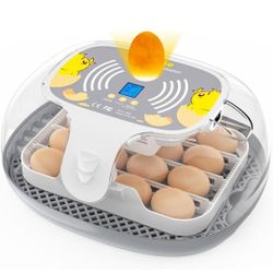  Egg Incubator for Hatching