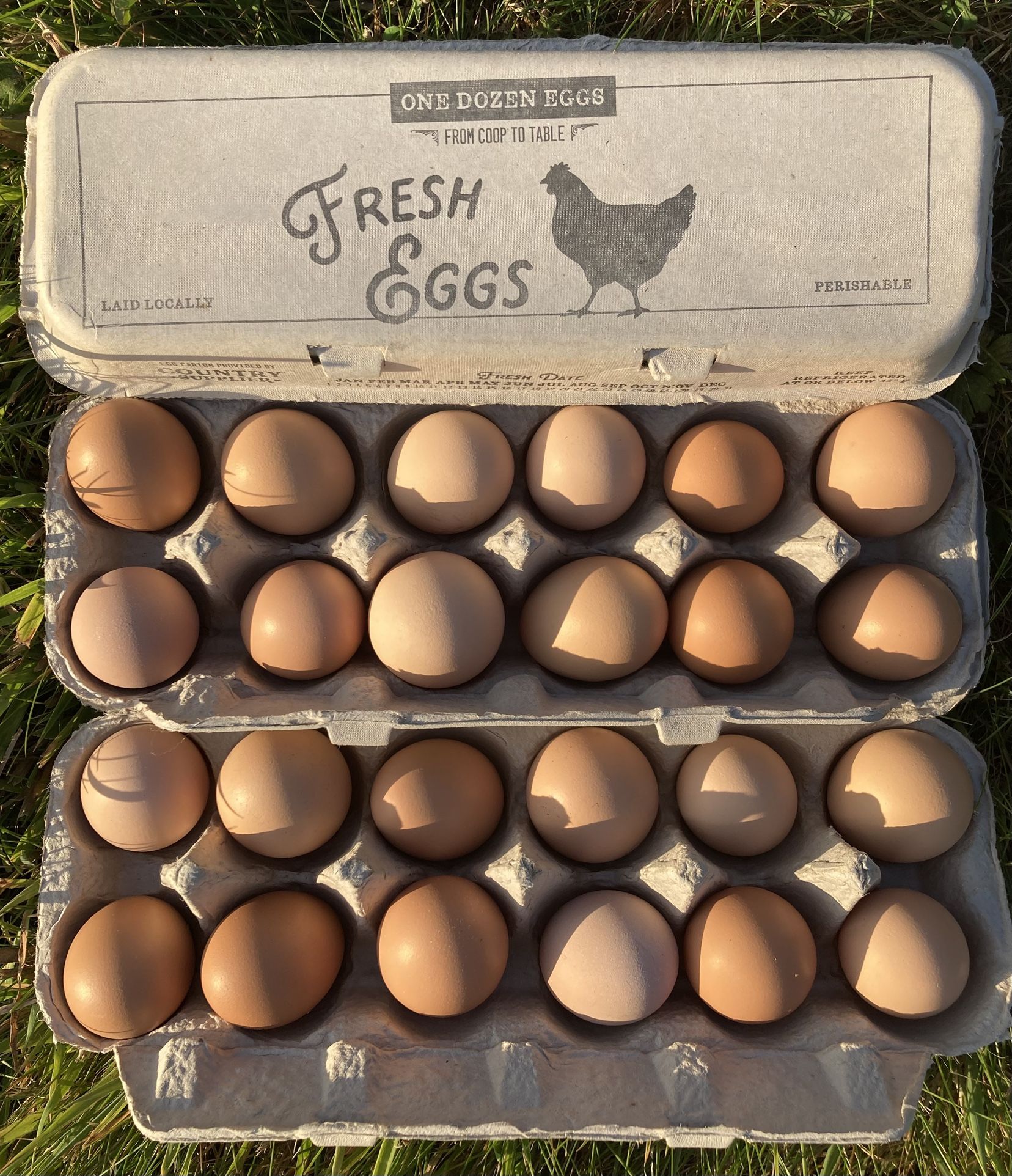 Farm Fresh Free Range Eggs