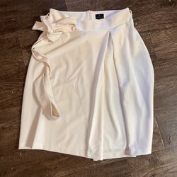 Size 10 Women’s Worthington Skirt 