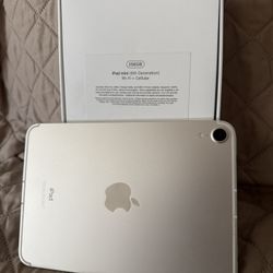 Apple 🍏 iPad Mini 6