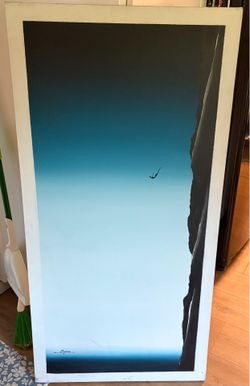 Cliff Diver