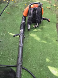 Echo Blower