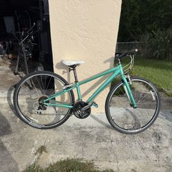 Trek Bicycle
