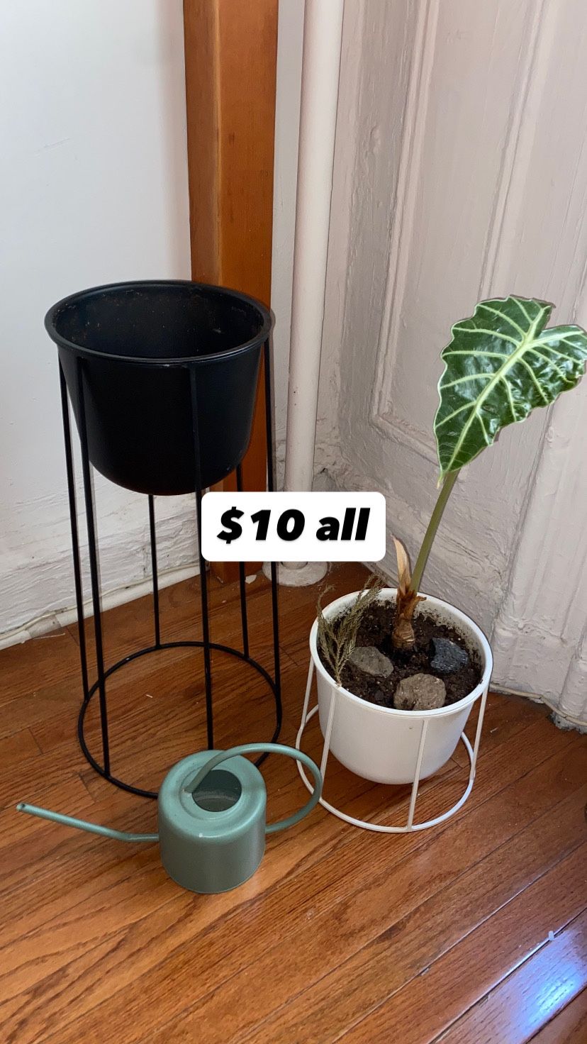 Moving Sale_Household Items