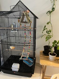 Flight Cage for Birds