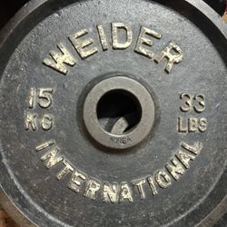 33Lb Weider Plates