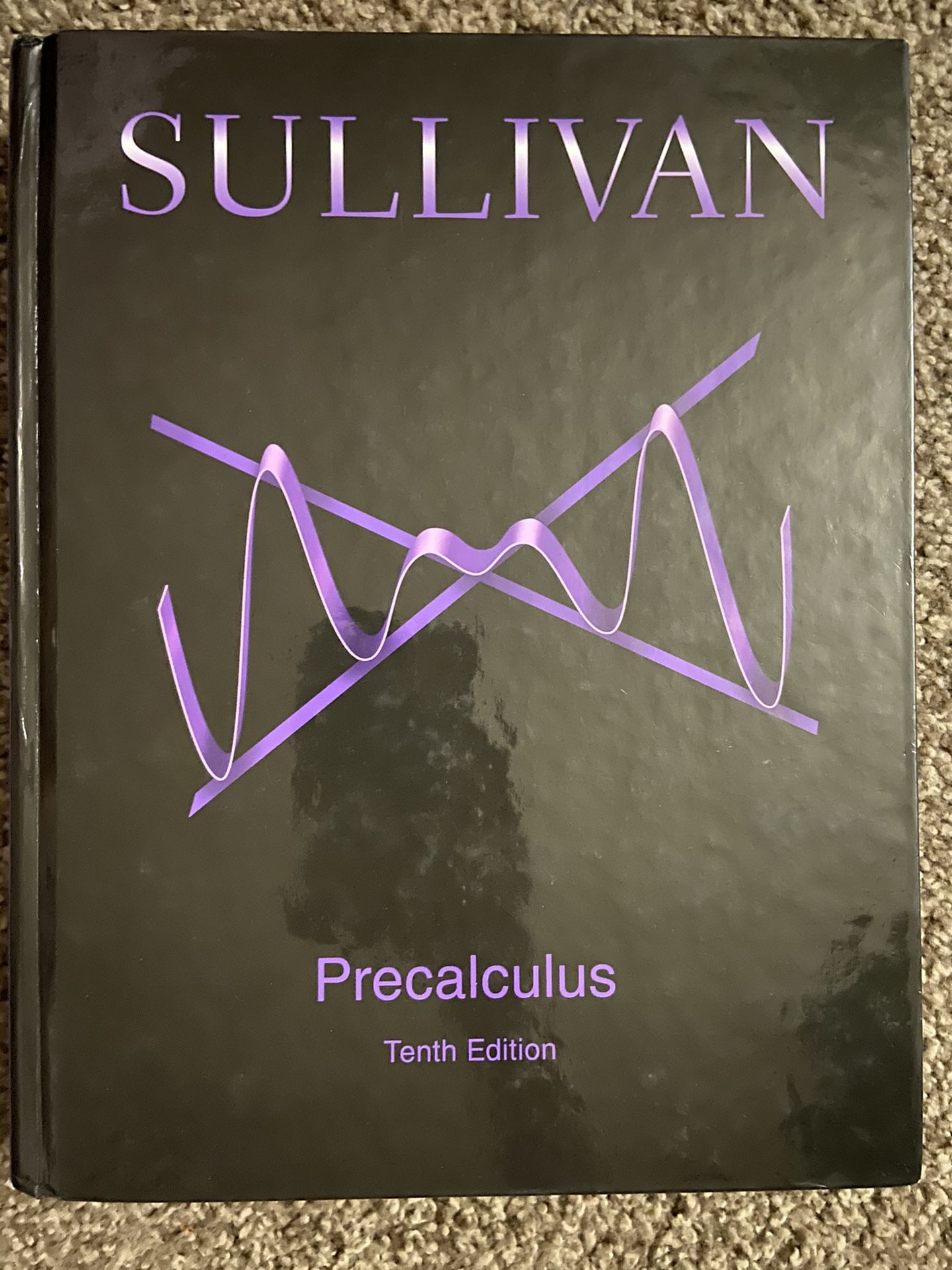 Precalculus Sullivan Tenth Edition