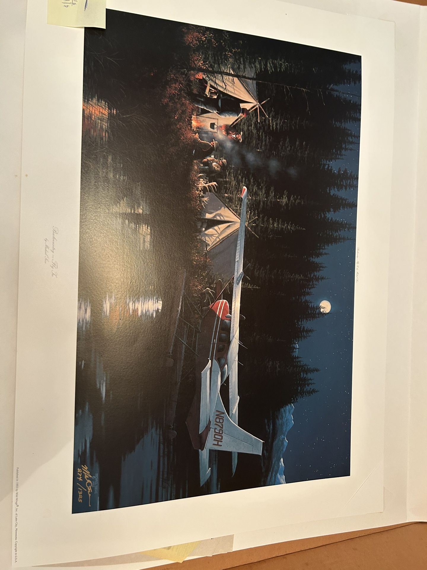 Backcountry Fly In Print
