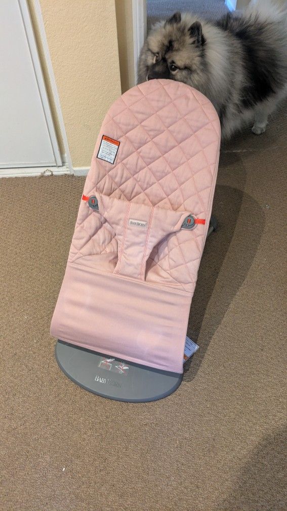 Baby Bjorn Bouncer Chair
