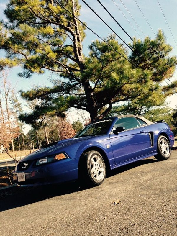 2003 Ford Mustang