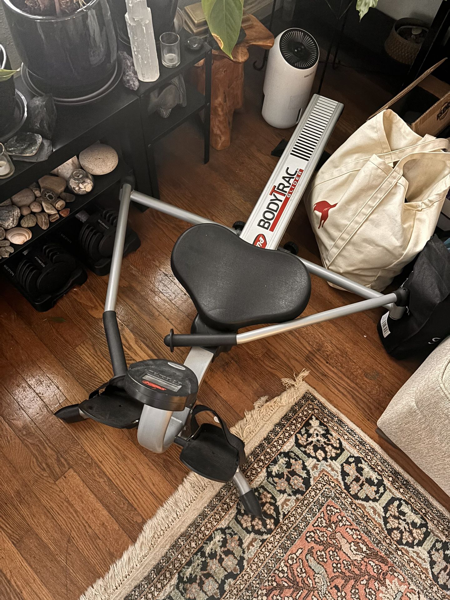Stamina Bodytrac Exercise Glider