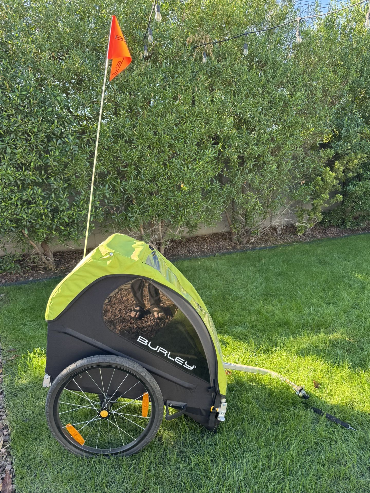 Burley Minnow Bike Trailer (Single Seat) 