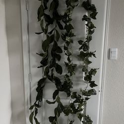 Artificial plants/vines