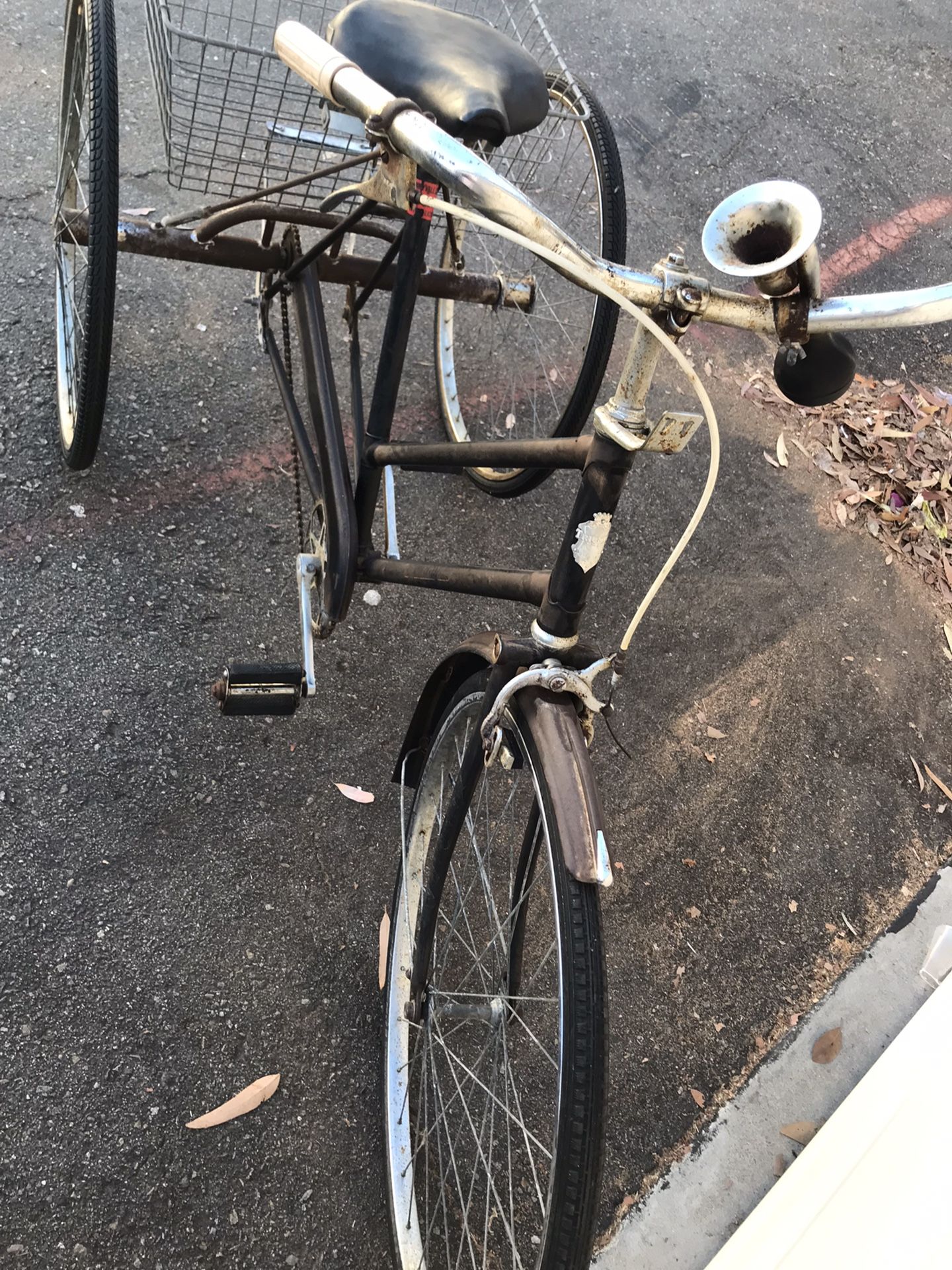 Vintage Tricycle 1800’s