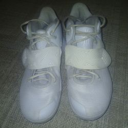 Nike Kyrie Flytrap 3 Pure Platinum 