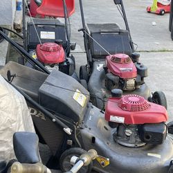 Herramienta De Jardín