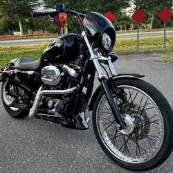 2007 Harley-Davidson Sportster XL-883 Custom