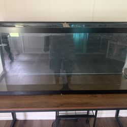 50 Gallon Fish Tank